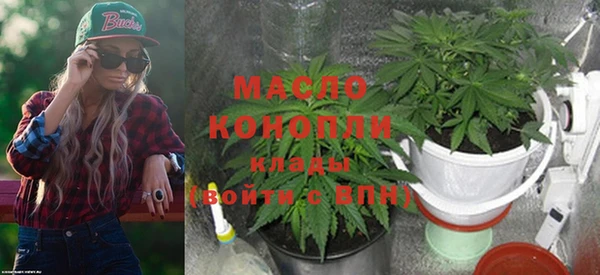 прущие грибы Сосновоборск