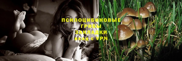 хмурый Верхний Тагил