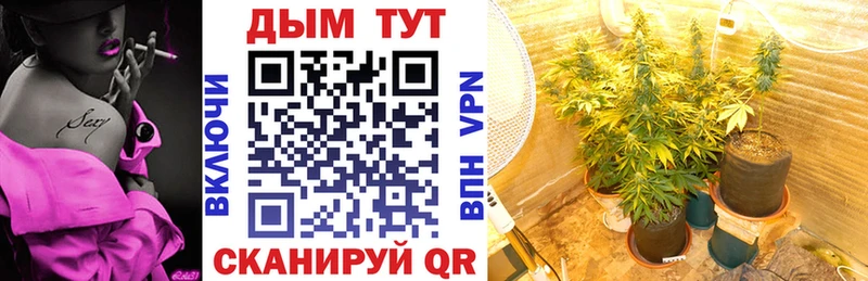 закладка  МЕГА маркетплейс  Канабис OG Kush  Великий Устюг 